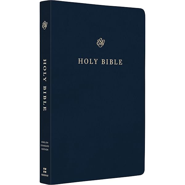 Holy Bible: English Standard Version (ESV) Encounter Bible